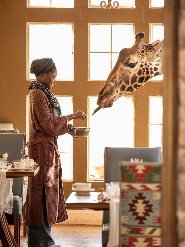 Giraffe-Activities-Breakfast-With-Giraffe.jpg