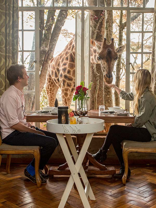 Giraffe-Activities-P-Breakfast-feeding-Garden-Manor-2.jpg
