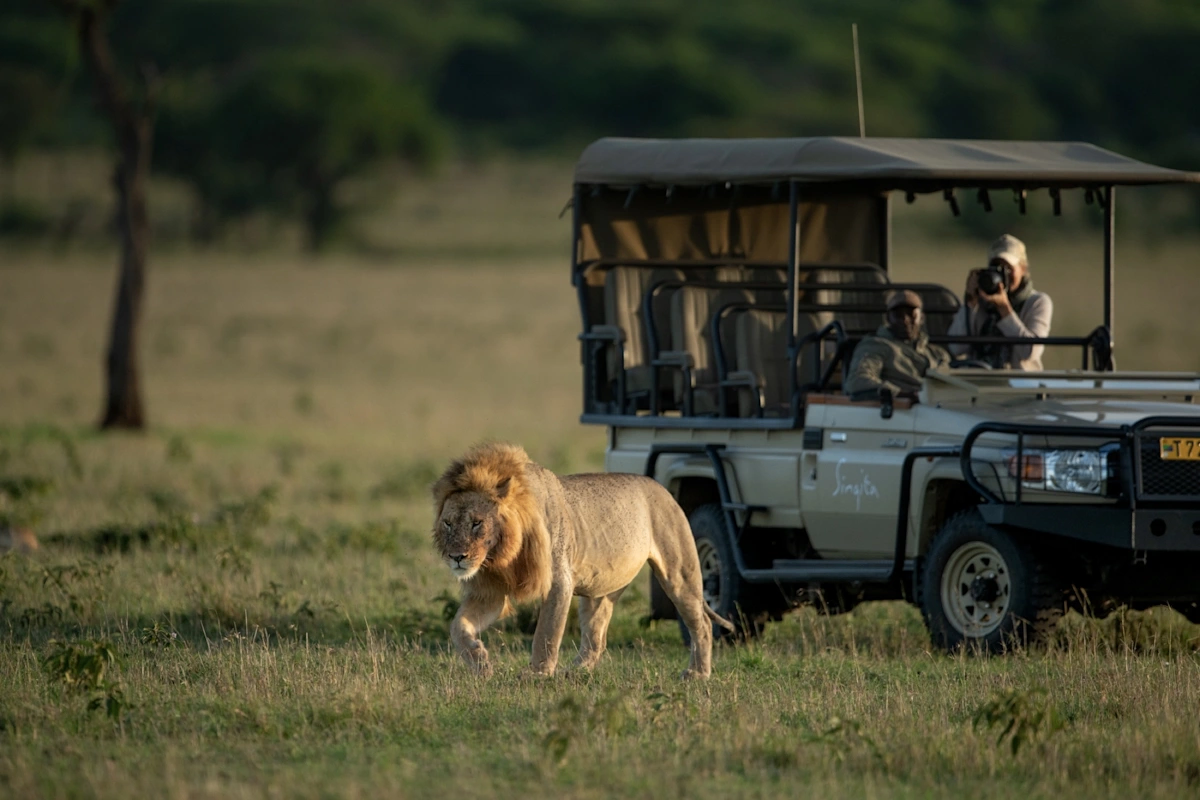 Sasakwa_Activities_Game_drive_slider3.jpg.png
