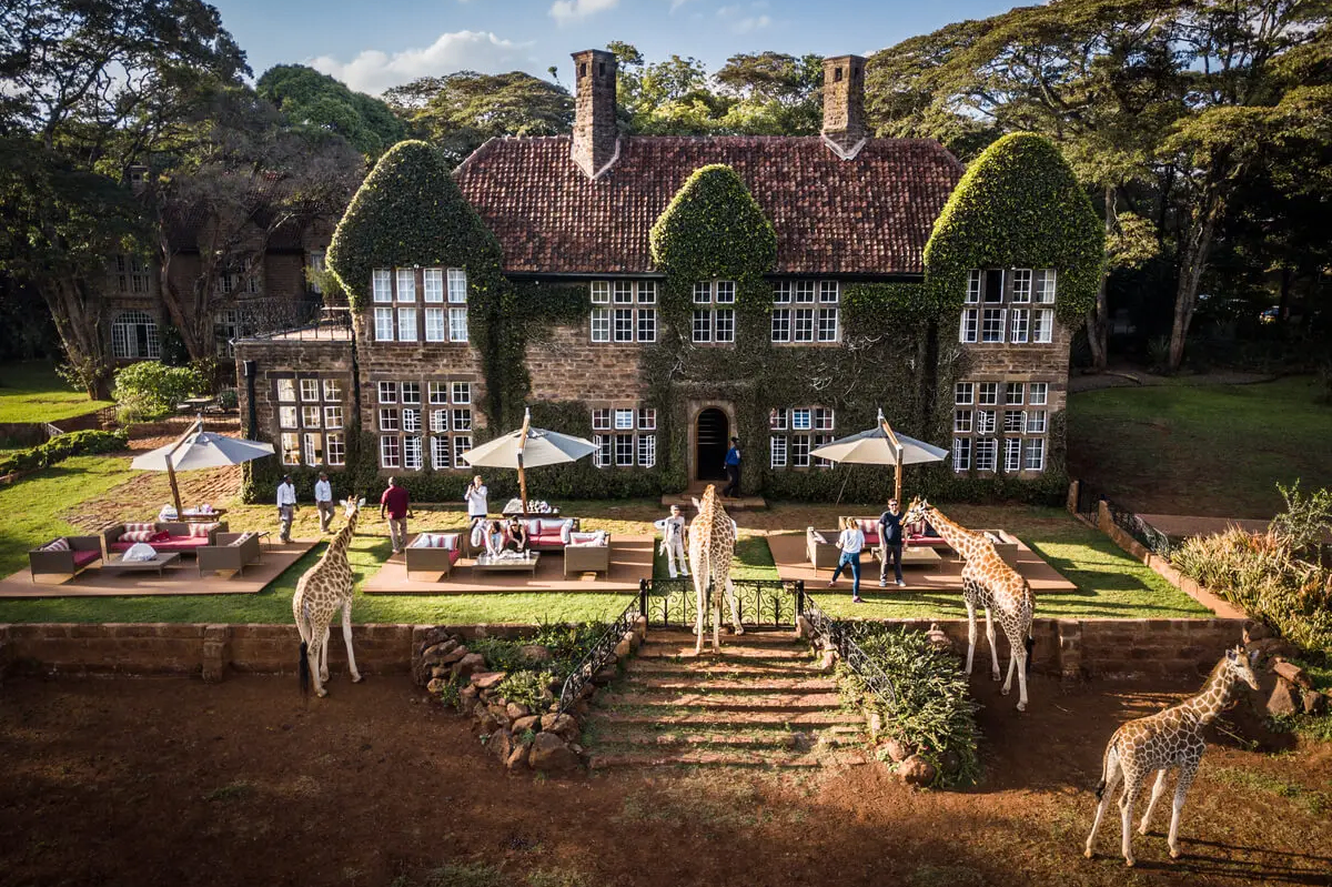 Giraffe-Manor-Voji-1.jpg.png